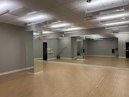 Emeryville studio with light brown floors, grey walls, mirrored walls and a mirrored pillar, and a plant in the back corner