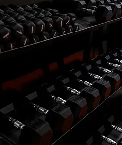Rows of black hex dumbbells on a rack in a dimly lit gym.