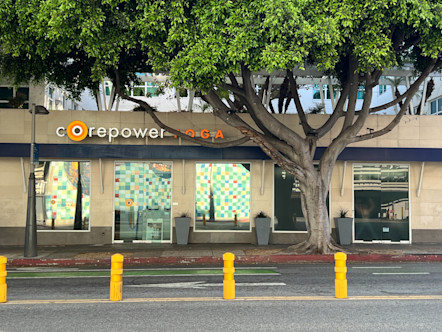 Santa Monica studio exterior with large reflective windows and a large tree out front