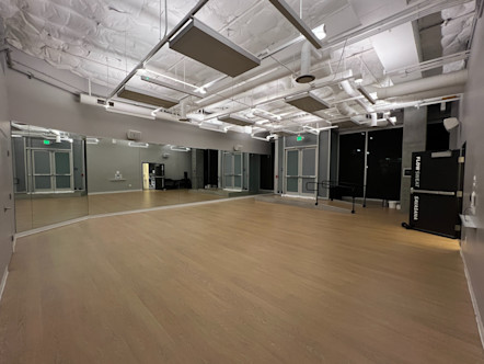 Light tan wooden floors in a large studio room with grey walls and mirrored front and left walls