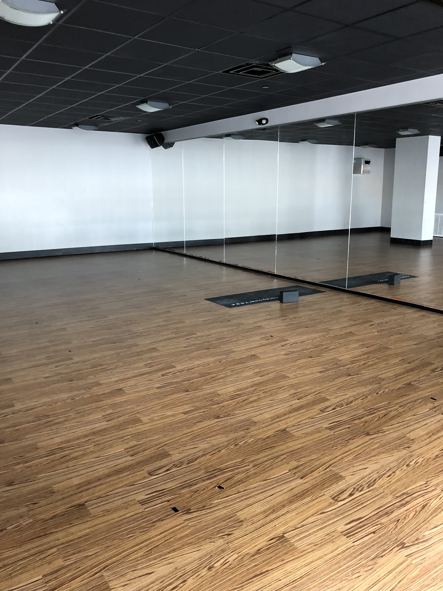 The Marina