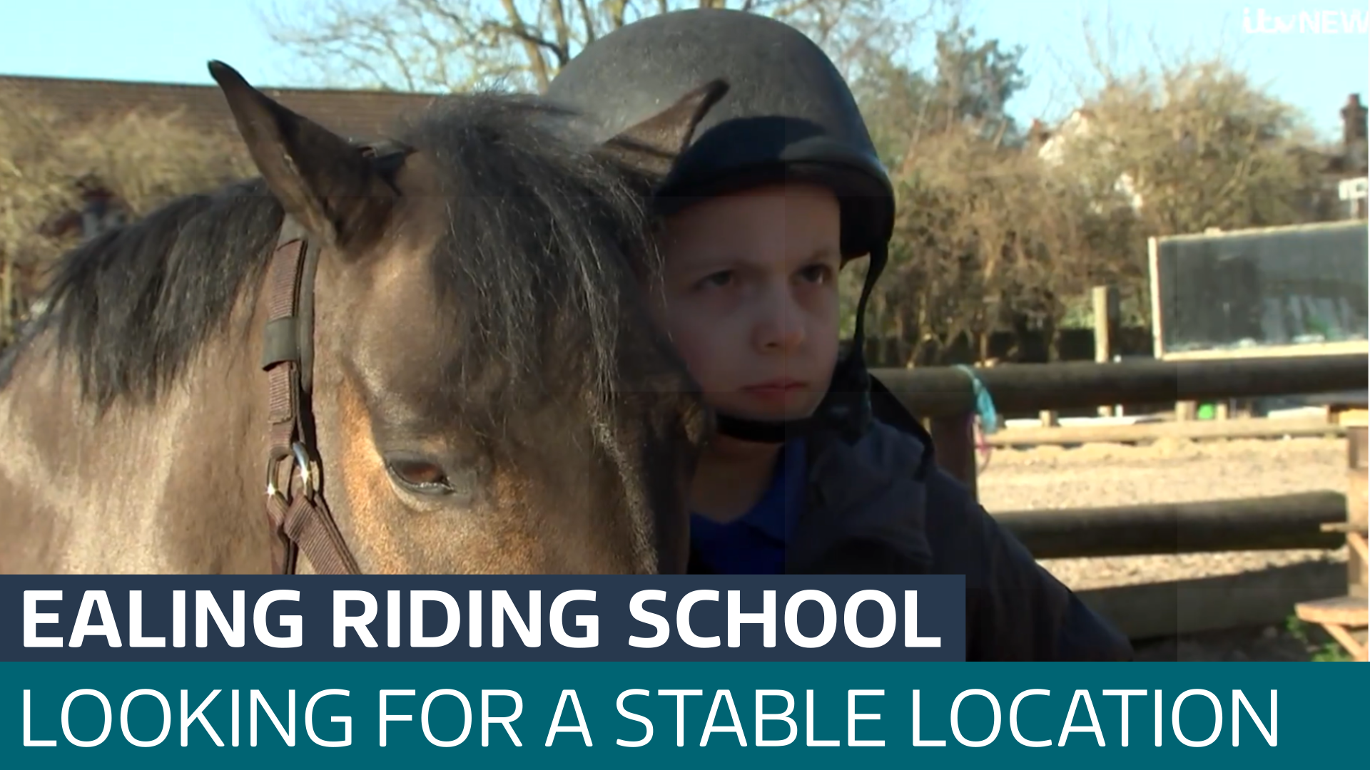 Ealing riding school struggling to stay open due to short term TFL ...