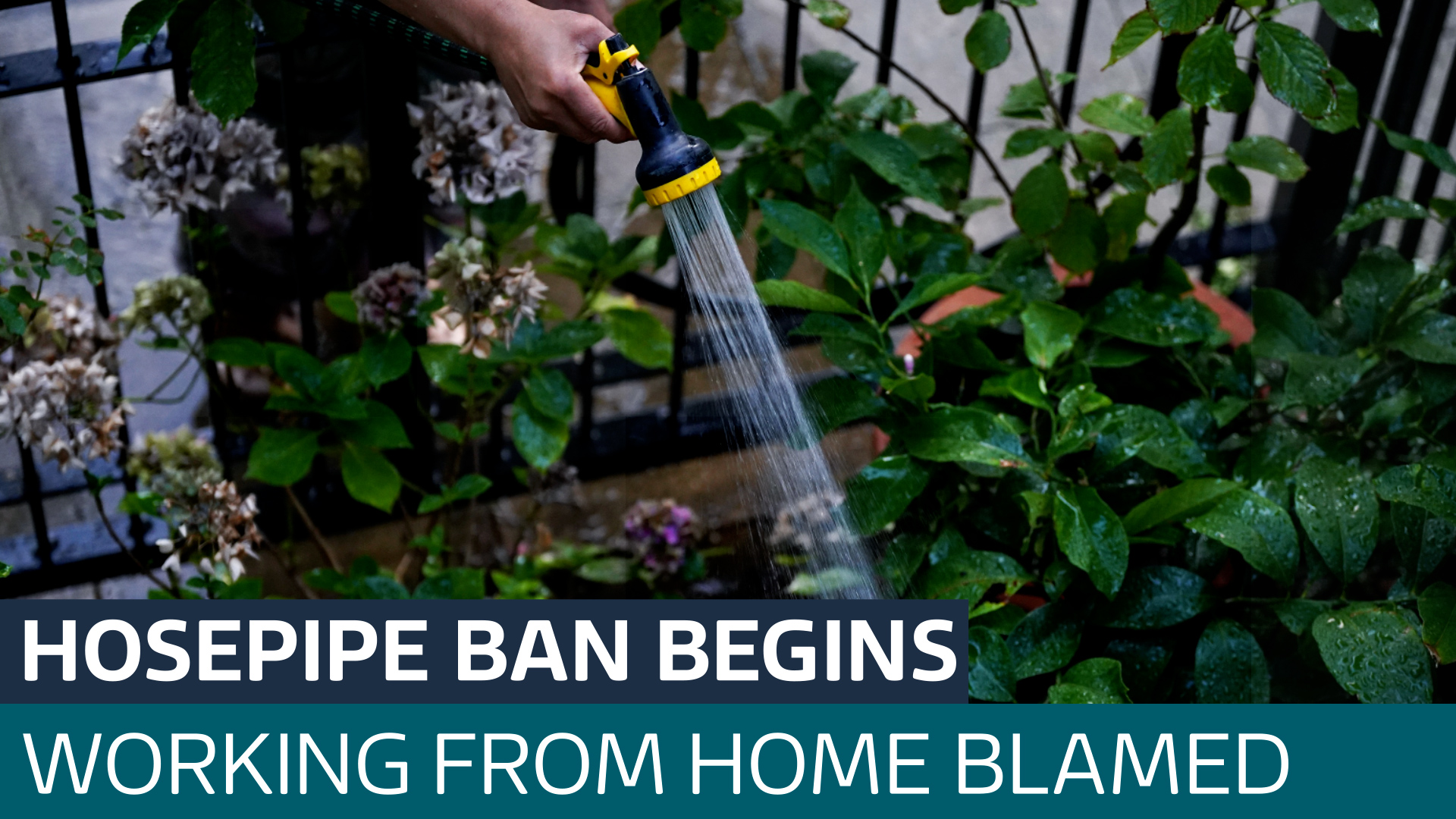 Hosepipe ban comes into force for thousands of South East Water