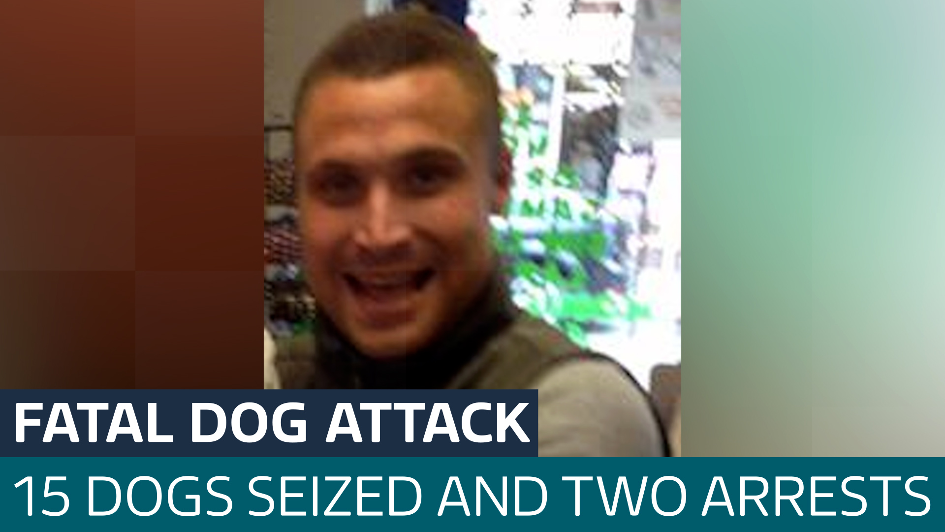 Police Seize 15 Dogs And Make Second Arrest After Fatal Attack - Latest ...