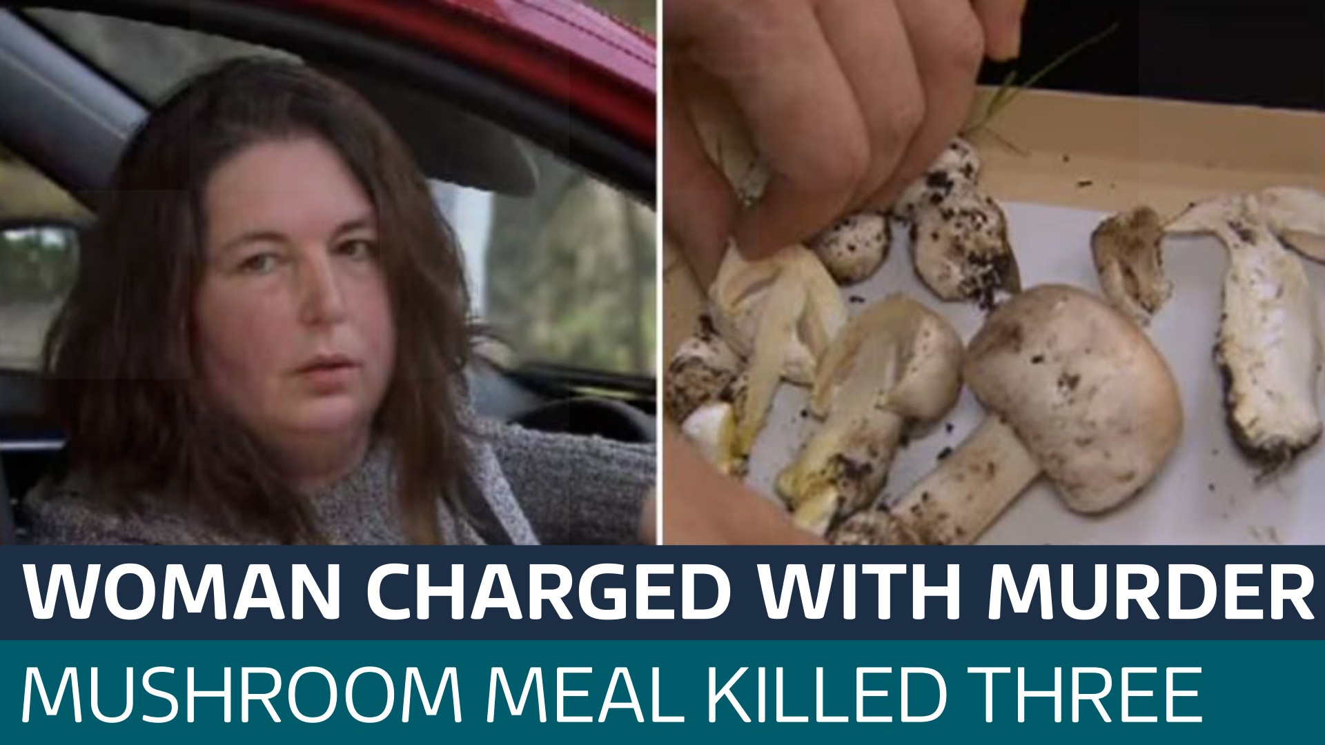 Australian host of 'poisoned' mushroom lunch that left three dead ...