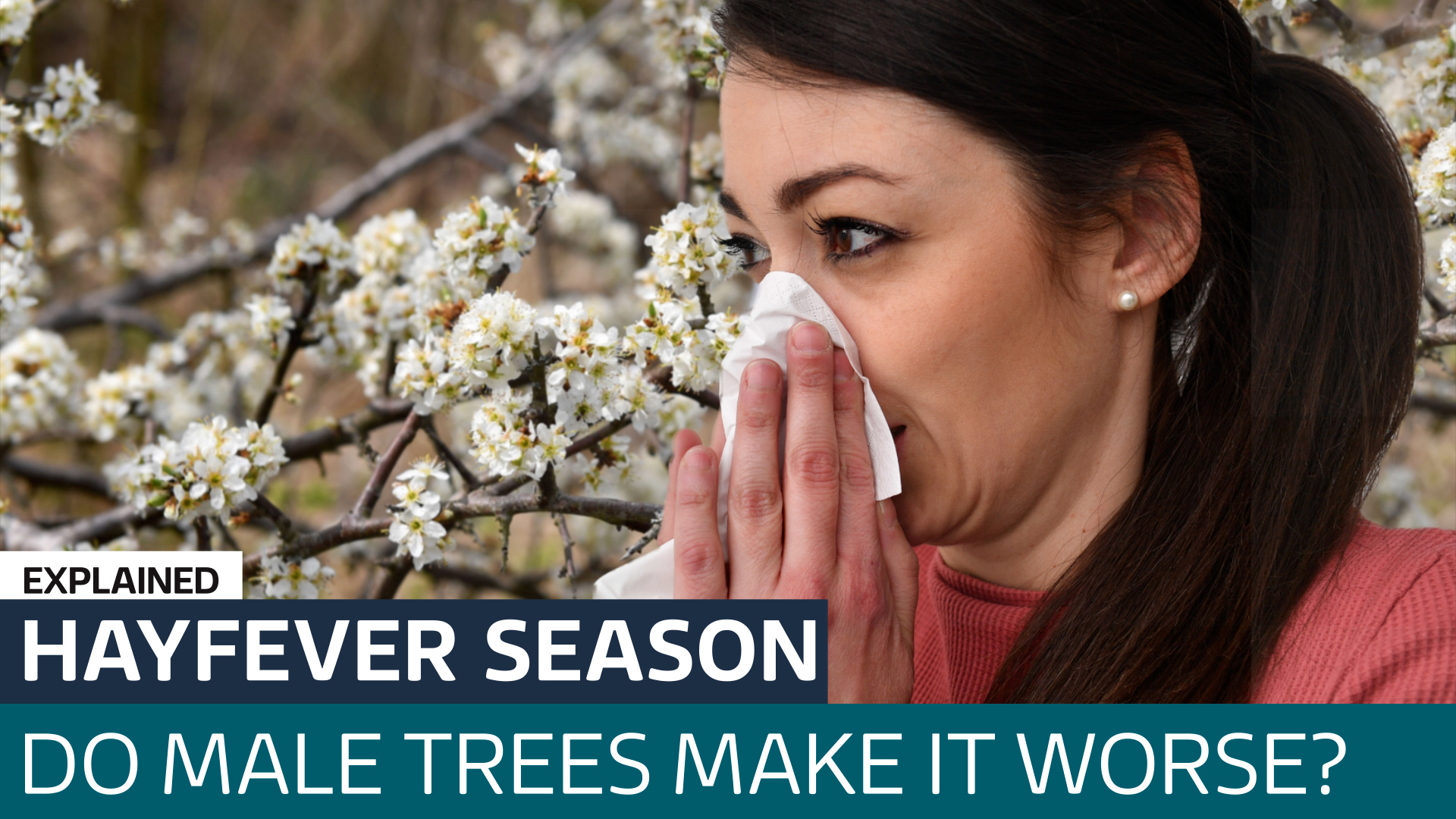 hayfever-feeling-worse-than-ever-why-some-people-are-blaming-male