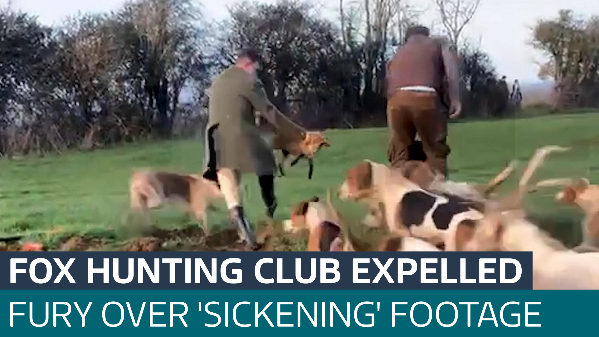 Fox Hunting Club Expelled By Governing Body Following Outrage Over   FOX HUNTING THUMBNAIL 