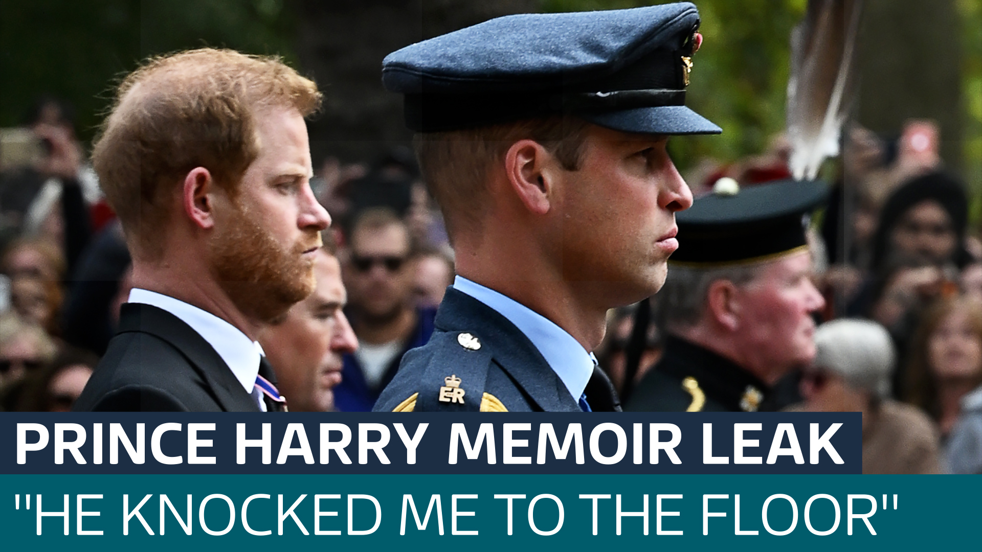 Prince Harry Memoir Leak: Guardian Reports Claims Prince William ...