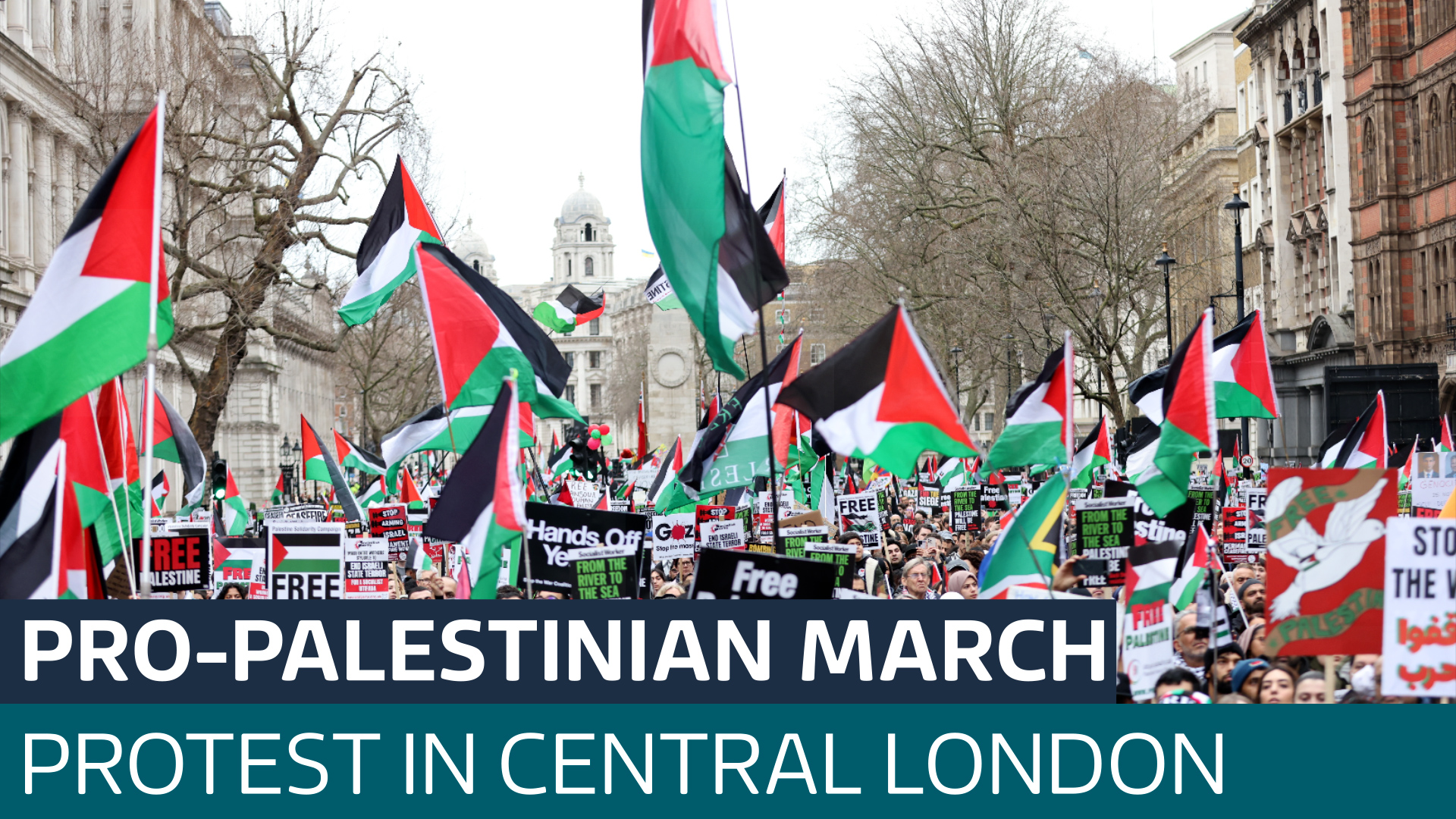 Twelve arrested during pro-Palestinian march in central London - Latest