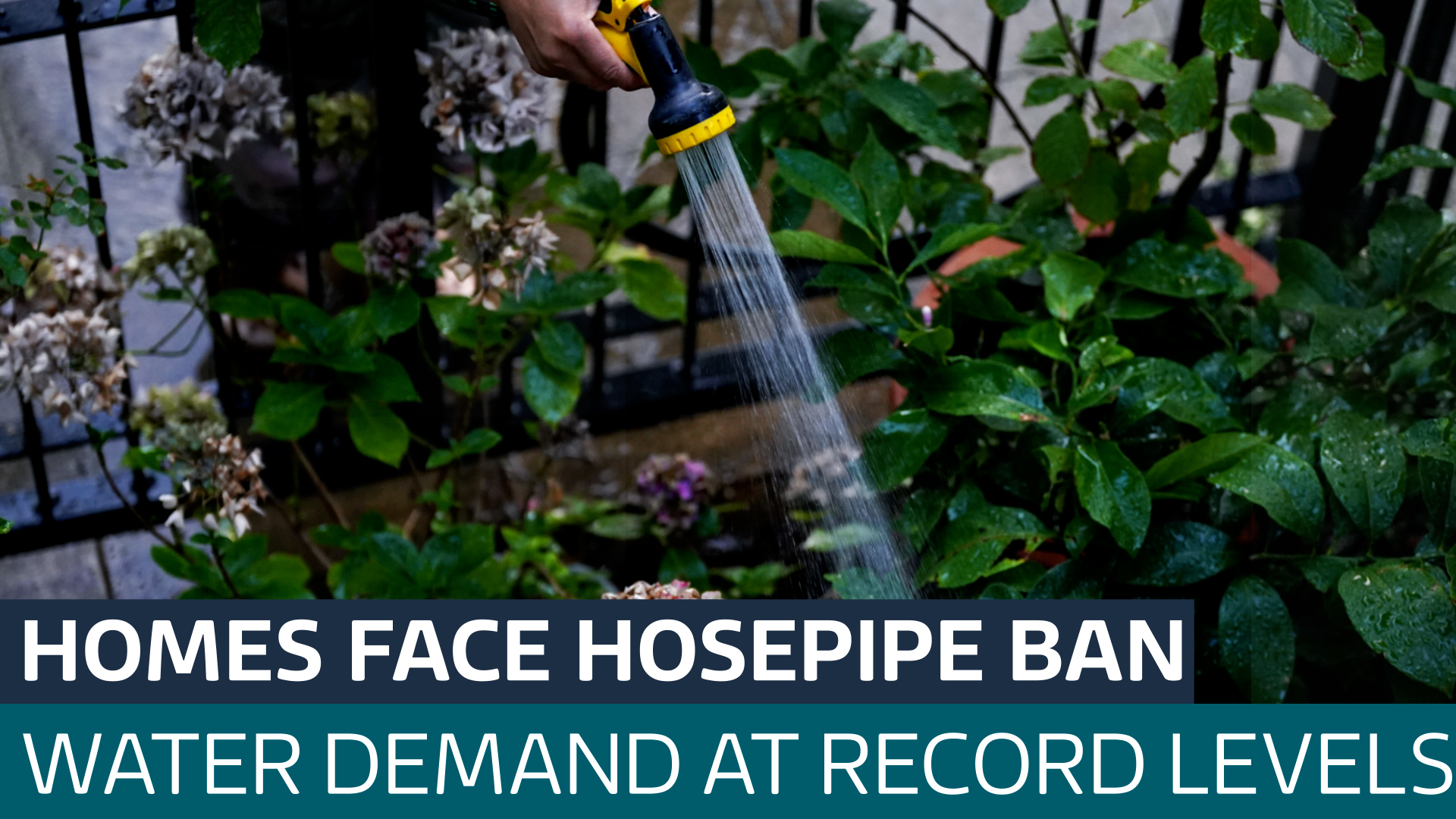 Record water demand leads to hosepipe ban for homes in Kent and Sussex