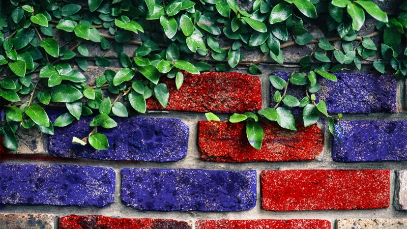 Higher Education Is Now the Most Politically Polarized Institution in America, on Par With the Presidency