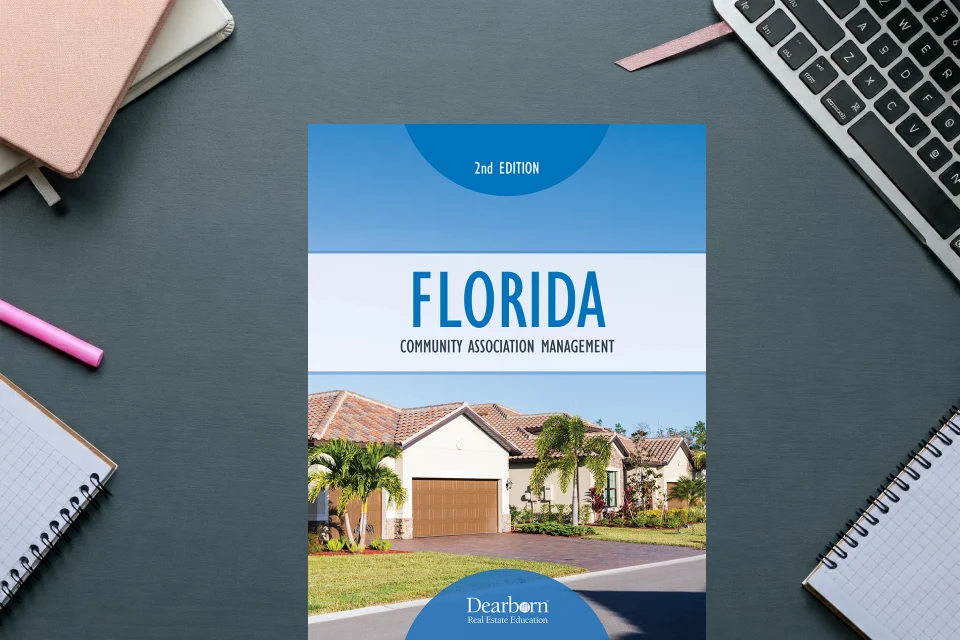 717591 BV PeekInside jpg Export