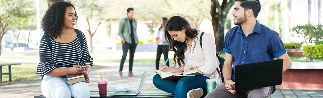 Students sitting on a bench, studying together, outdoors