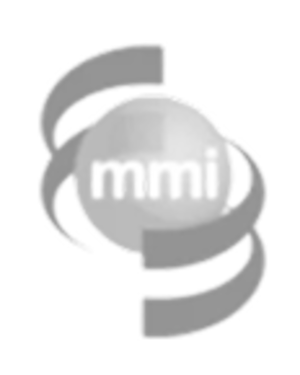 MMI Engineered Solutions logo