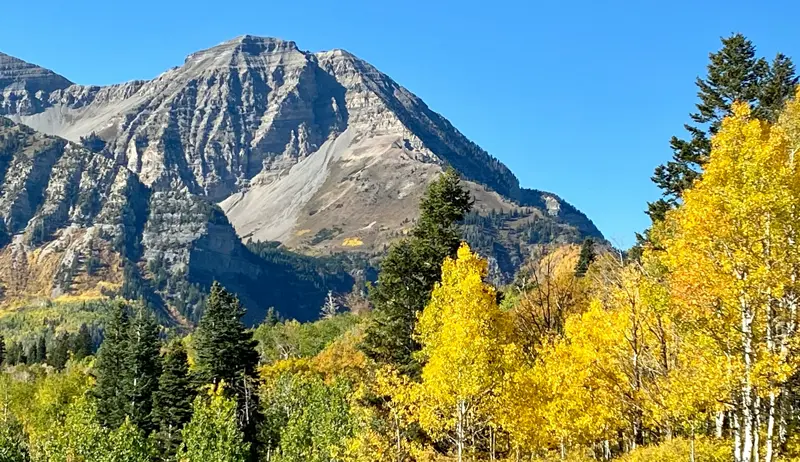 scenery of mountains and trees