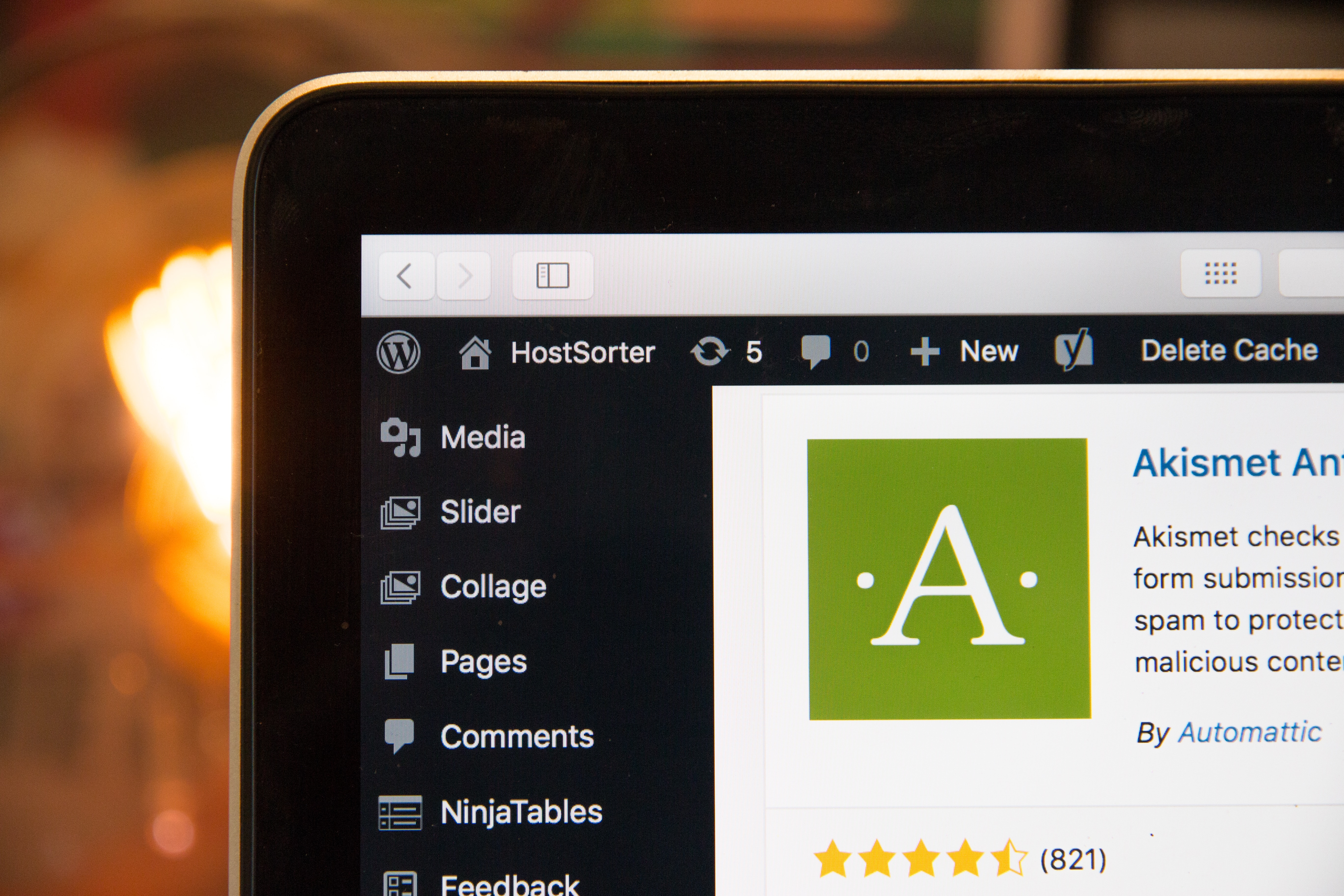 Screen showing Wordpress open