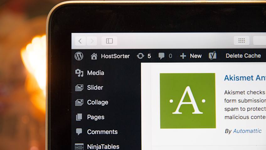 Screen showing Wordpress open