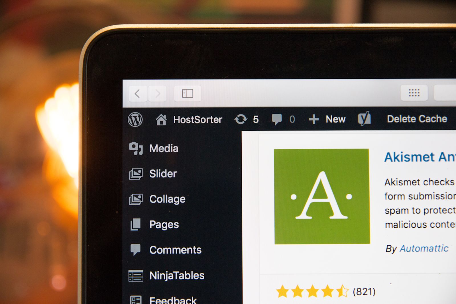 Screen showing Wordpress open