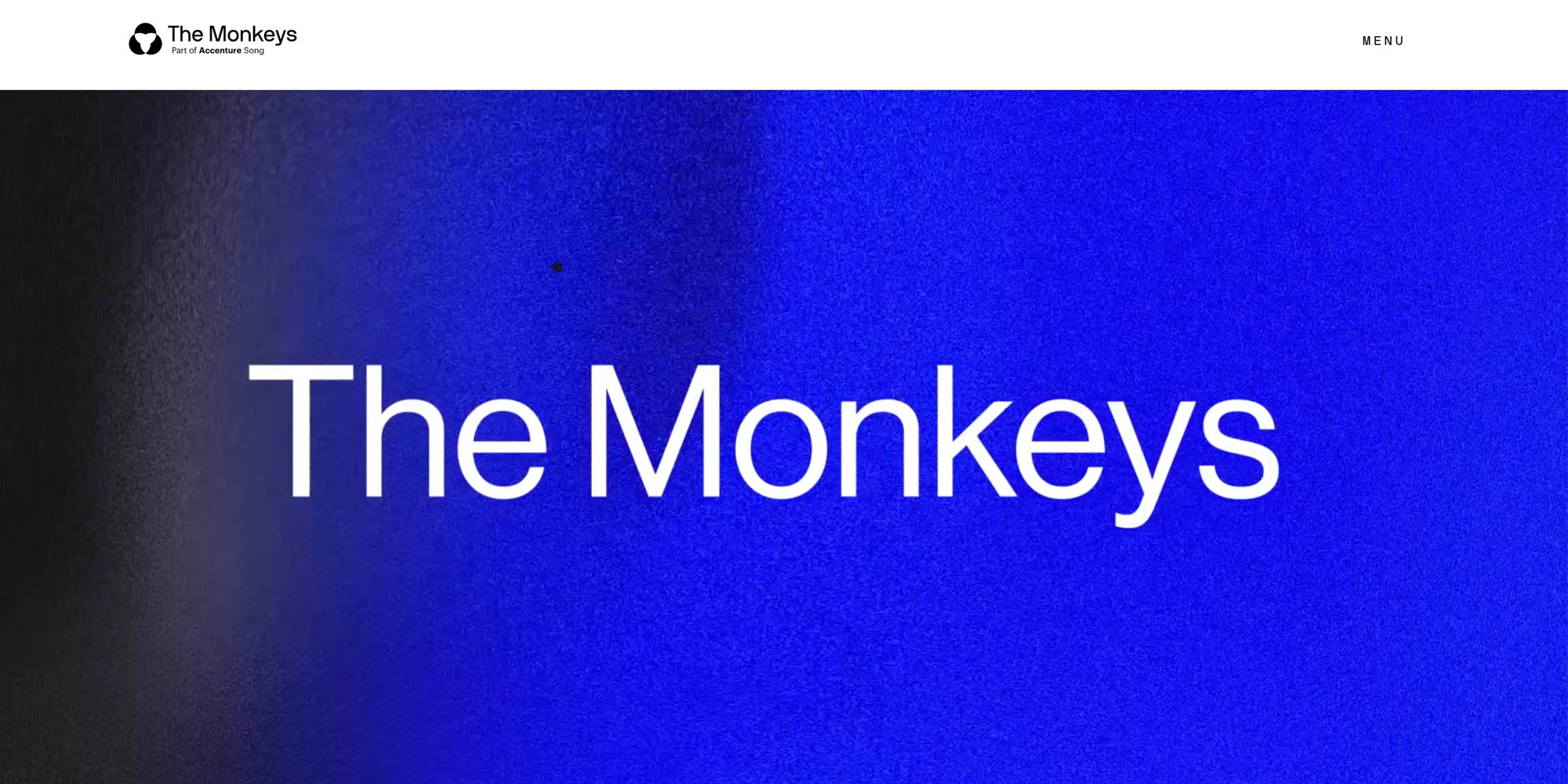 Cover Image for The Monkeys