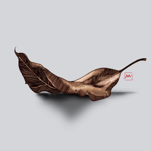 dry leaf