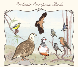 endemic-european-birds
