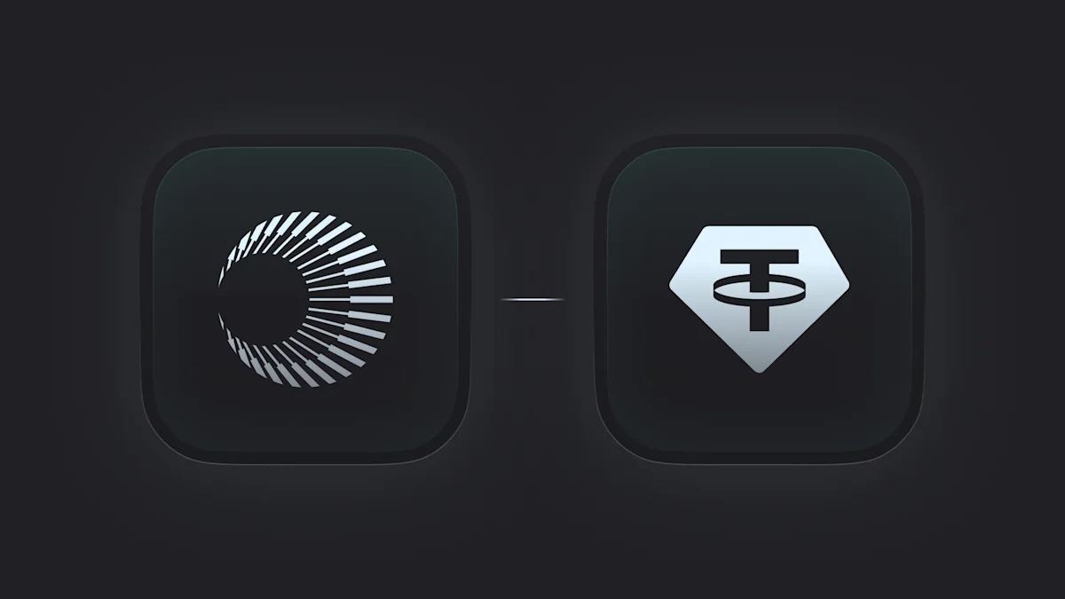 What are Stablechains (graphic 2) Plasma: The Stablecoin Powerhouse for USDT.