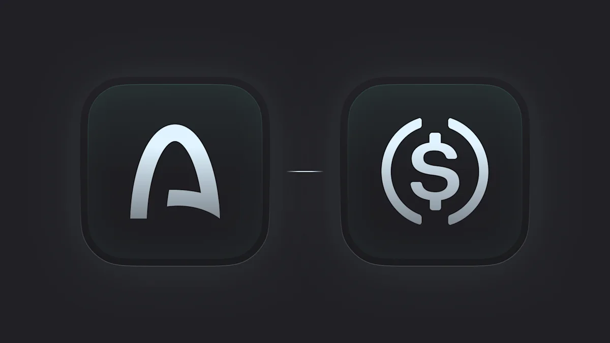 What are Stablechains (graphic 3) Arc (by Circle): The Institutional Stablechain.