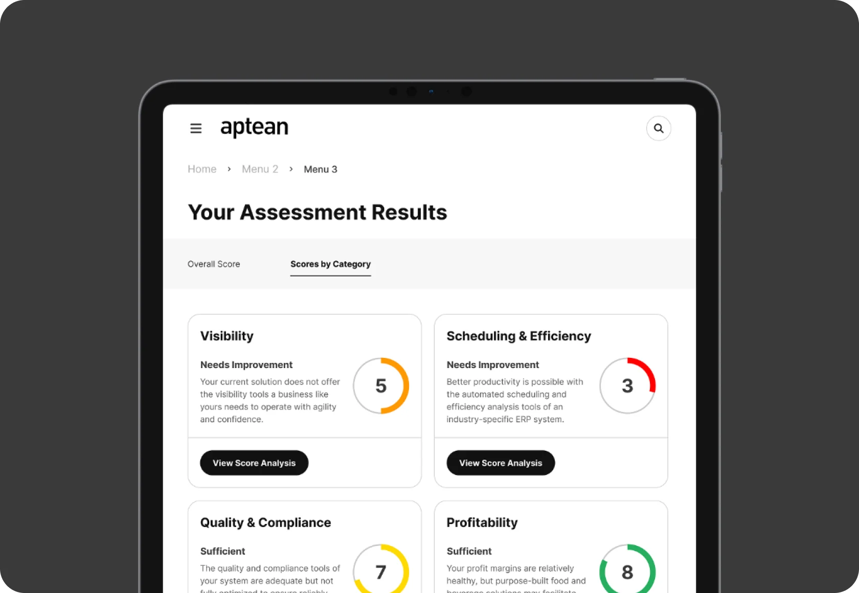 Business Systems Health Assessment