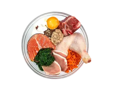 Plate of assorted raw and uncooked proteins on display