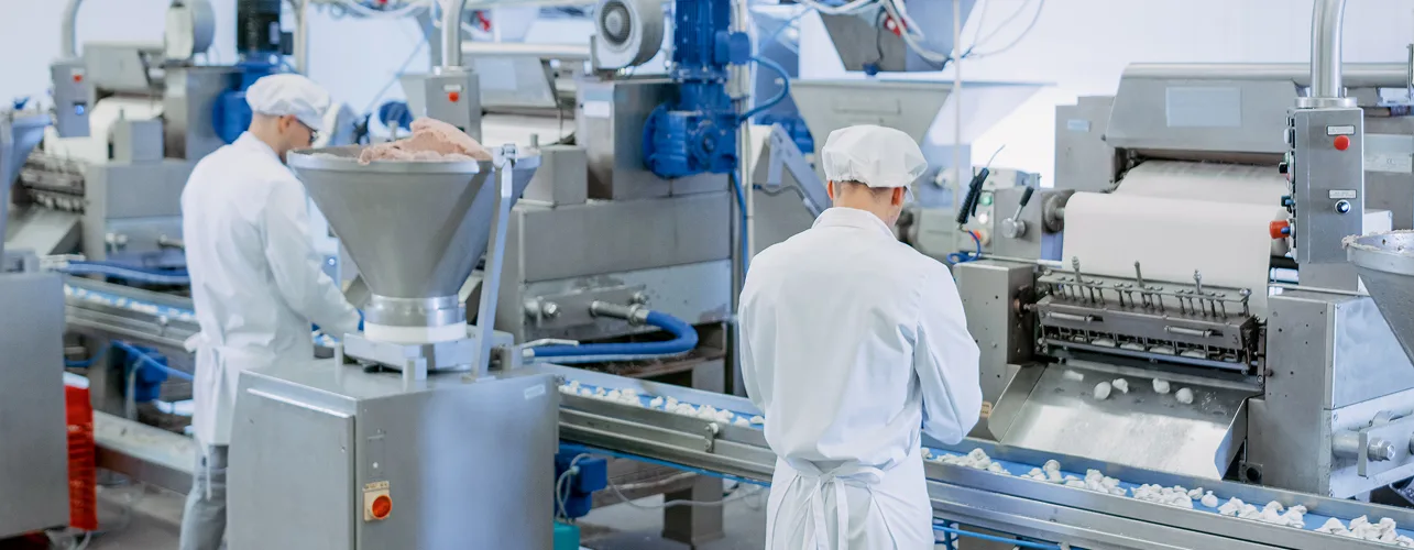 Two young workers preparing Dumplings conveyor line in a food factory