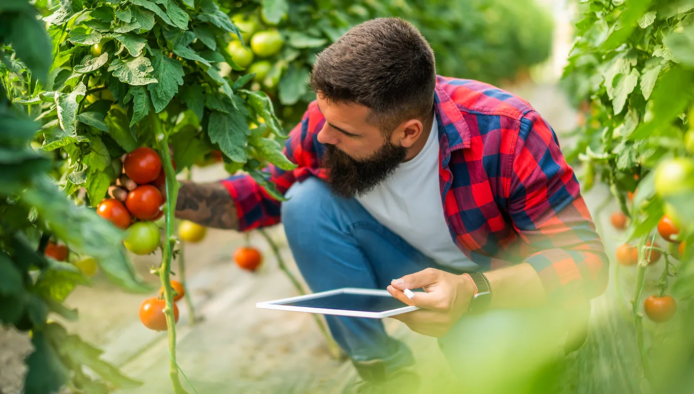 How Belair Produce Improved Inventory Accuracy and Operational Visibility With Produce Pro Software from Aptean