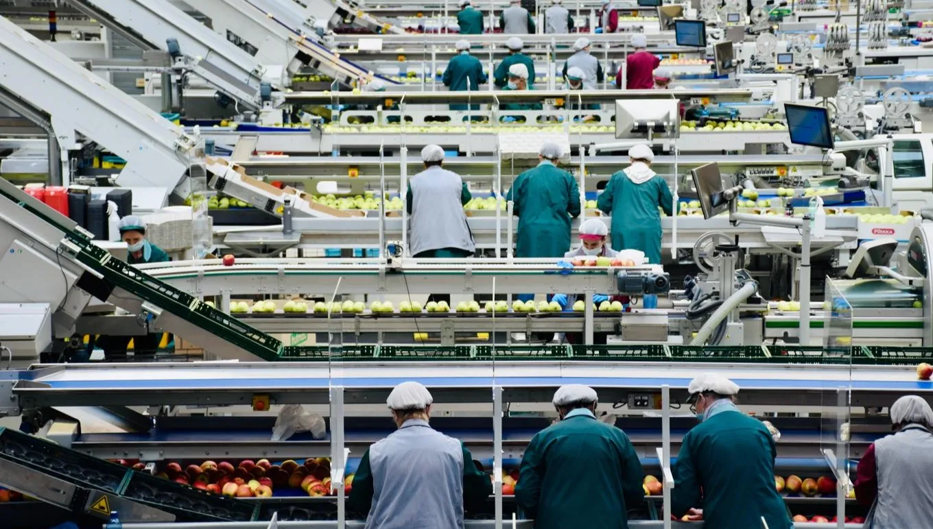 4 redenen om uw bedrijf te moderniseren met doelgerichte software voor de voedingsindustrie