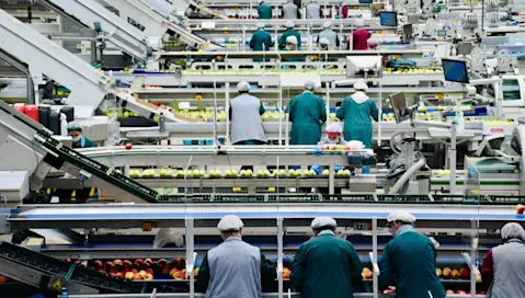 A busy food facility in the midst of daily operations.