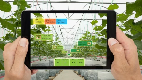 A smart device assists in greenhouse management.