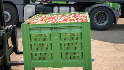 apples in crate