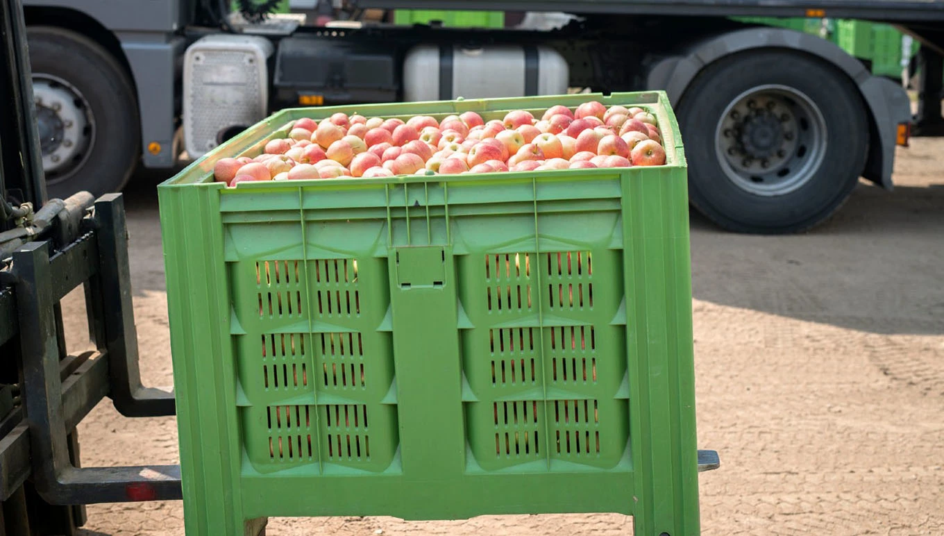 apples in crate