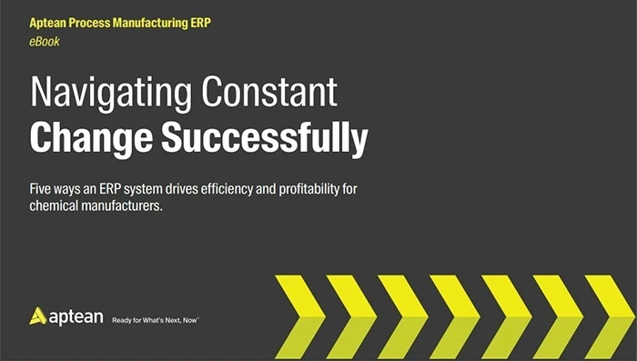 Navigating Constant Change Successfully