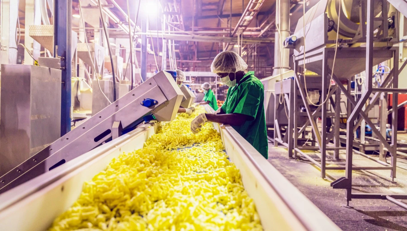 A food manufacturing facility employee inspects products on a production line.