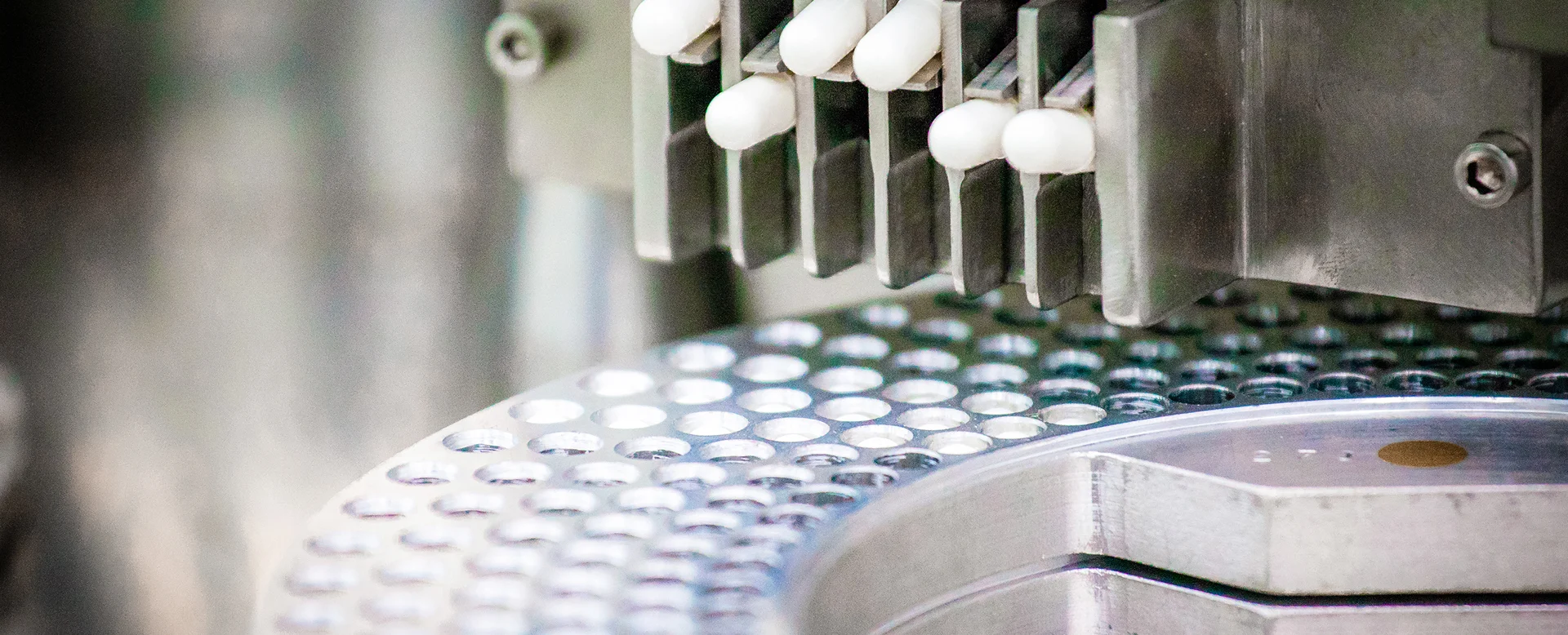 ERP for Nutraceuticals: The Perfect Formula for Success