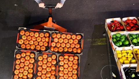 Boxes of vegetables: tomatoes, peppers and eggplant