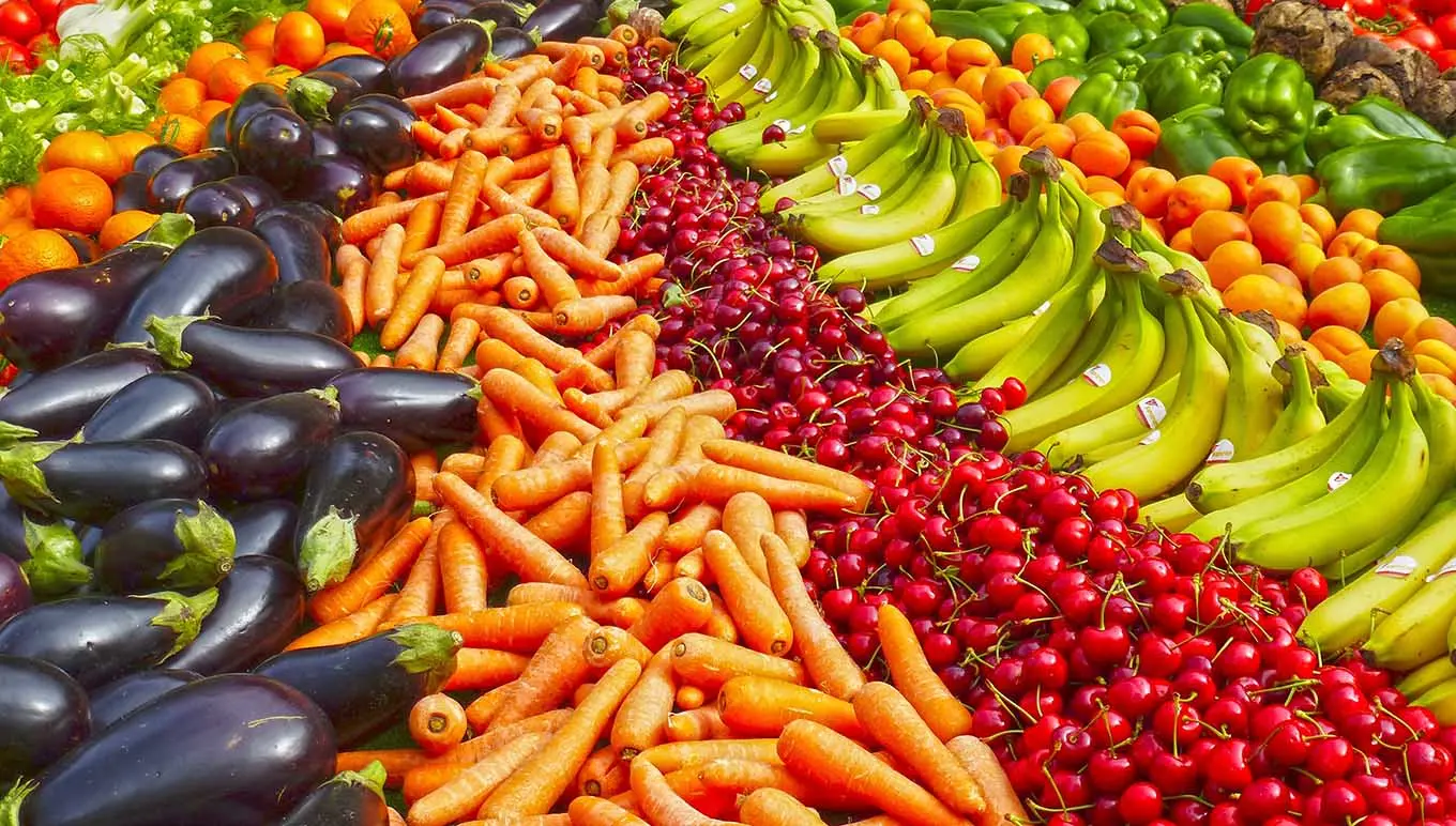 rainbow of produce