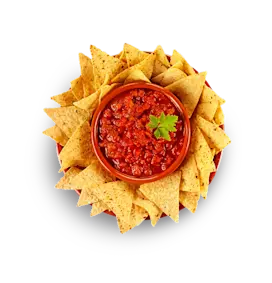 Bowl of salsa surrounded by tortilla chips.