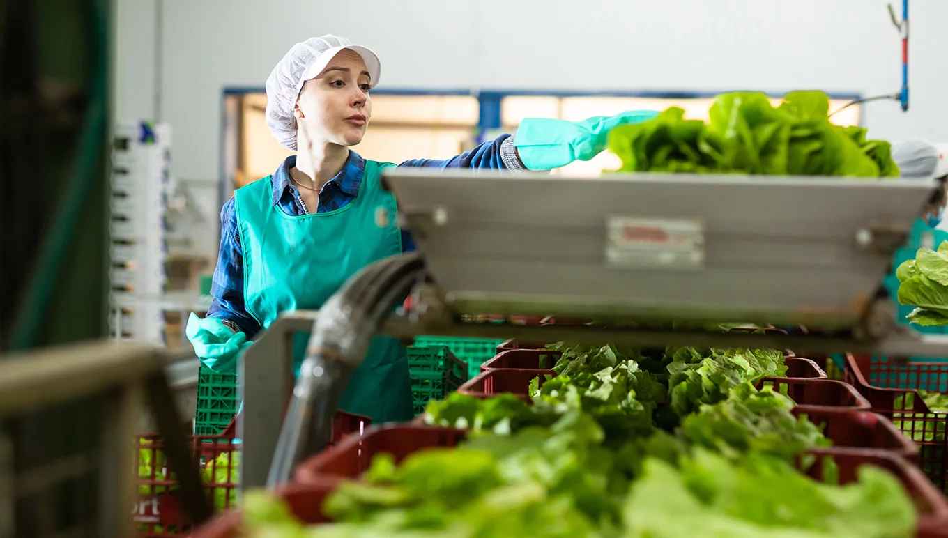 Figuring out the Food Traceability Final Rule?