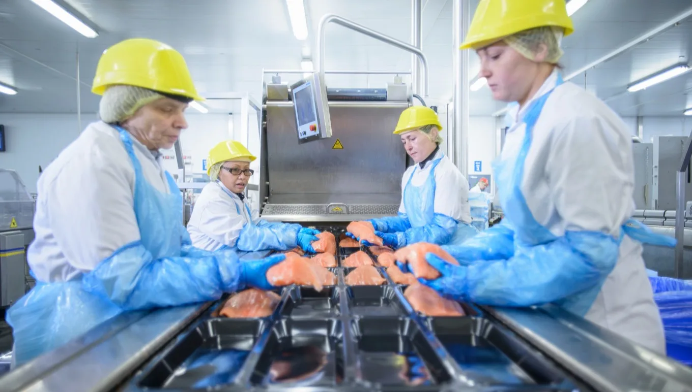Regelgeving voor de vleesindustrie: wat u moet weten en hoe ERP u helpt compliant te blijven