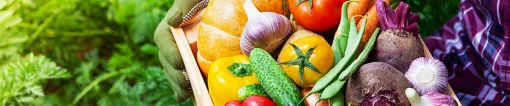 Tray of fresh vegetables