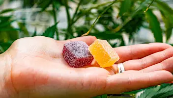 Gummies