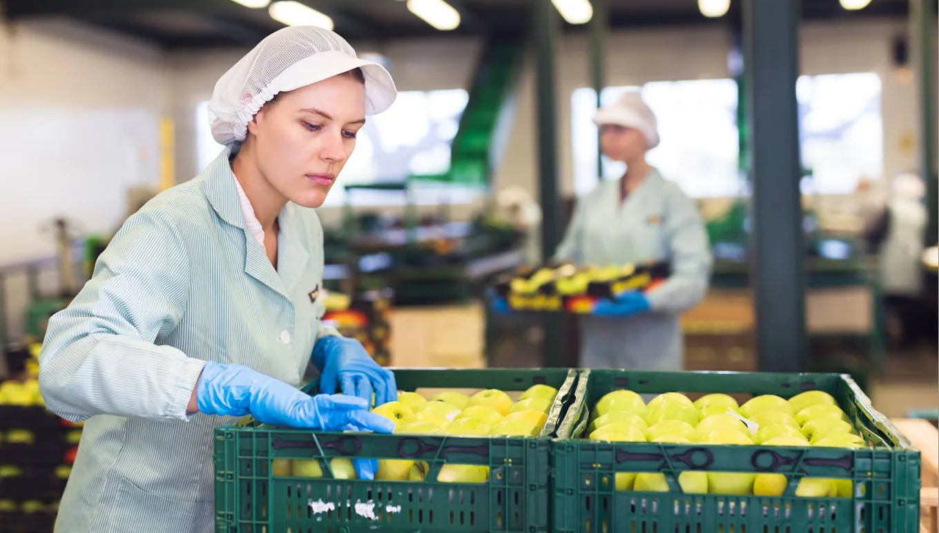 card-is-sub-quality-produce-your-best-profit-opportunity