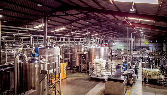 From Reactive to Ready: Workforce Enablement in Food & Beverage