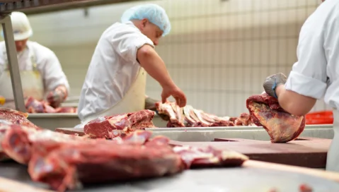 Meat plant workers chop raw meat.