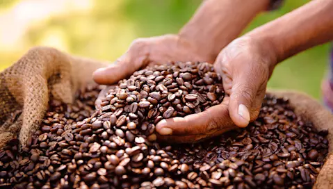 Hands in coffee beans